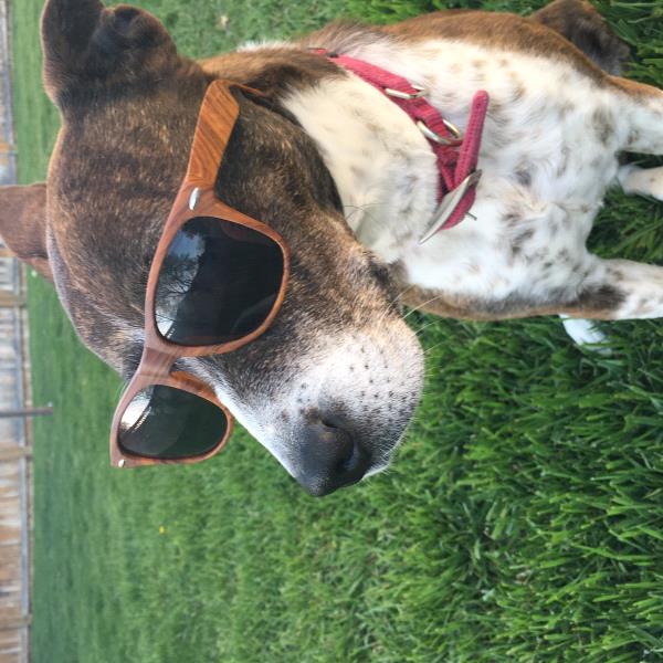 /Images/uploads/Humane Society of Utah/HSUCalendar/entries/1623thumb.jpg